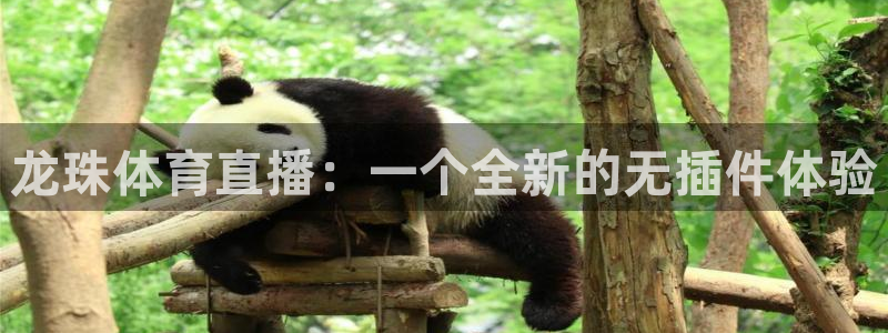龙珠体育直播：一个全新的无插件体验