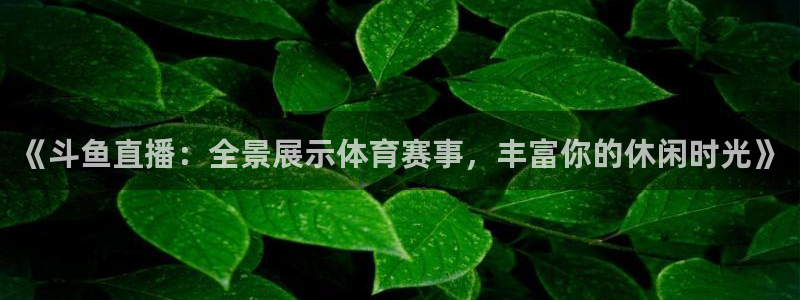《斗鱼直播：全景展示体育赛事，丰富你的休闲时光》