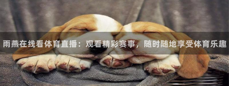 雨燕在线看体育直播：观看精彩赛事，随时随地享受体育乐趣