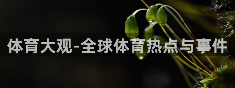 新闻图片