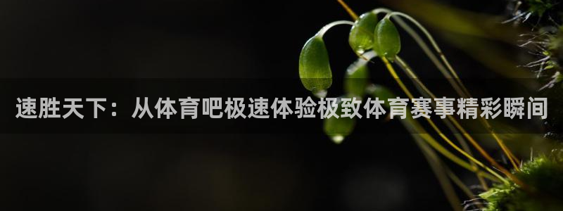 速胜天下：从体育吧极速体验极致体育赛事精彩瞬间