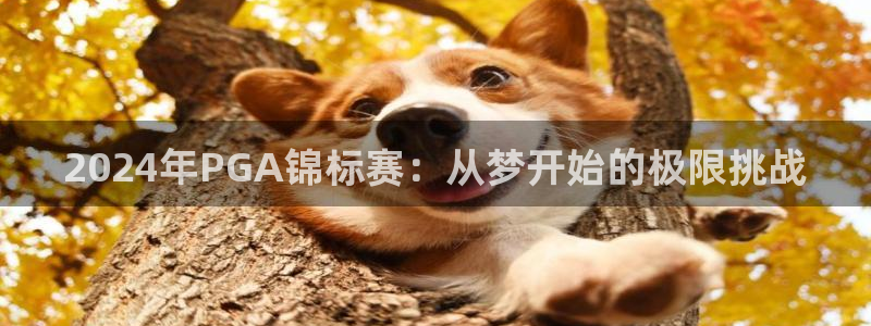 2024年PGA锦标赛：从梦开始的极限挑战